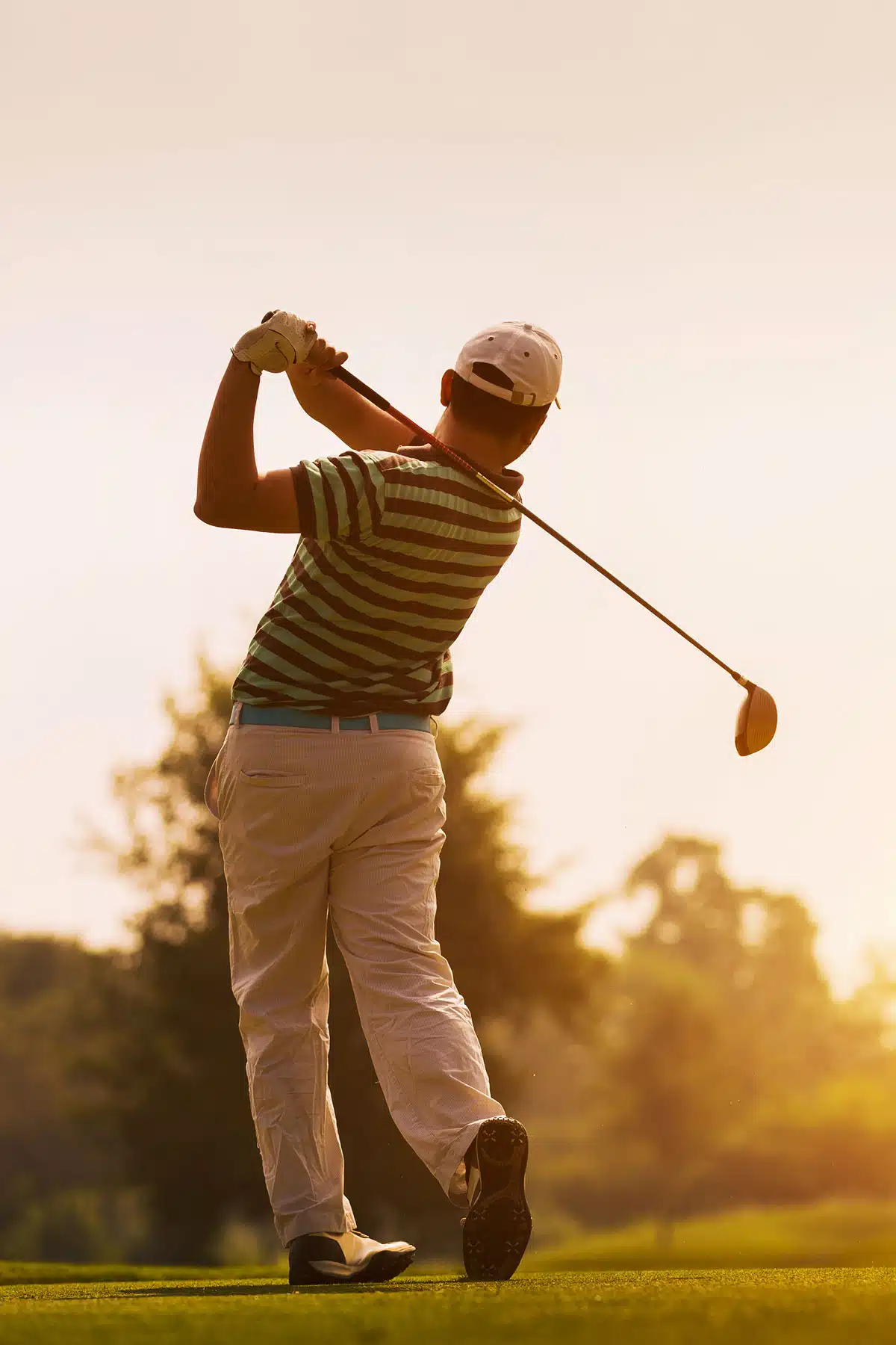 Tcortho Hipreplacement